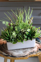 kompozycja z sukulentów w białej donicy, Melania, wys.38cm