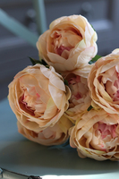 Bella Italia, bukiet herbacianych peoni, 7szt. dł.42cm