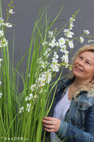 Alija Perra Negra, sztuczna trawa w czarnej donicy, wys.180cm