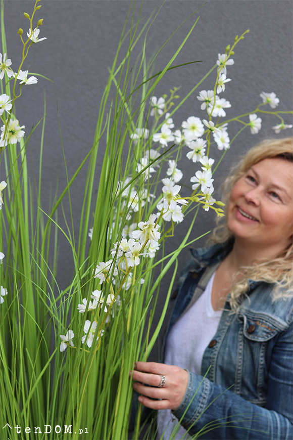 Alija Perra Negra, sztuczna trawa w czarnej donicy, wys.180cm