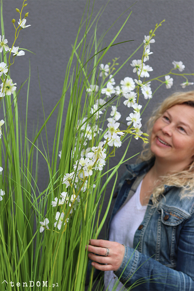 Alija Perra Negra, sztuczna trawa w czarnej donicy, wys.180cm