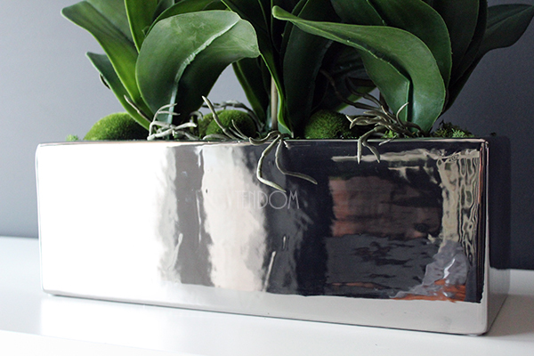 storczyk Silver Trend w srebrnej prostokątnej donicy, wys.74cm