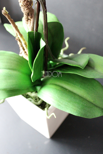 elegancki storczyk Stonowany Fiolet w szarej donicy wys.70cm