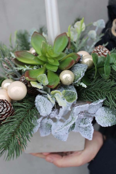 bożonarodzeniowy stroik / kompozycja Sukulent, wys.35x25cm