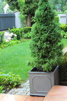 Grigio donica kwadratowa B wym.43x43x40.5cm