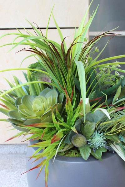 Fiberglass kompozycja z sukulentami Cacti Walter, wys.70cm