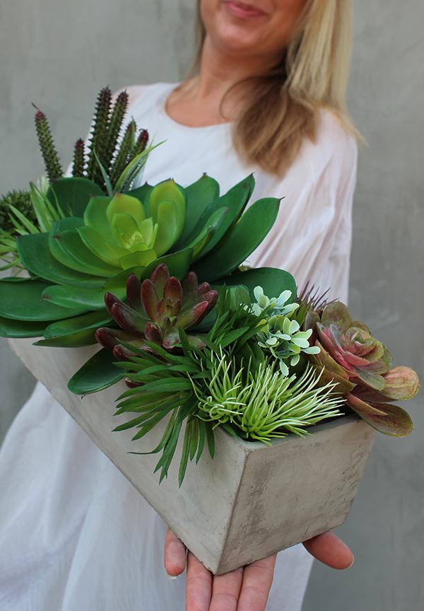 Moderna, kompozycja sukulentów w cementowej donicy, wys.25cm