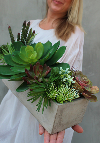 Moderna, kompozycja sukulentów w cementowej donicy, wys.25cm