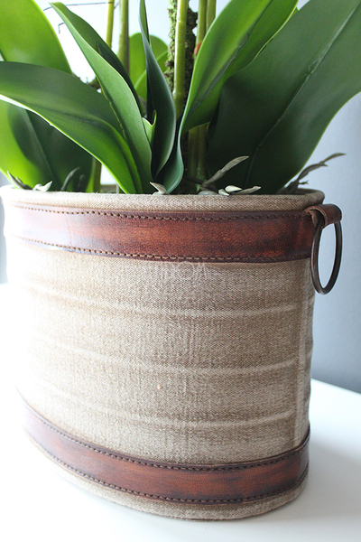 Lauren duży biały storczyk w brązowej donicy, wys.90cm