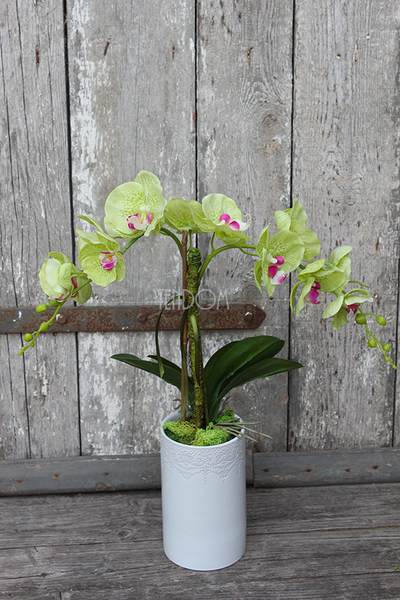 zielony, gumowy storczyk Katie w pięknej donicy marki Katie&Alice, wys.57cm