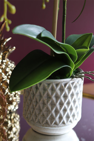 elegancki storczyk w ozdobnej donicy, Verona Moderna Small, wys.54cm