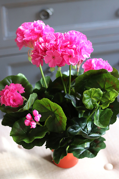 doniczkowa pelargonia Jaskraworóżowa, wysokiej jakości sztuczne kwiaty, wys.36cm