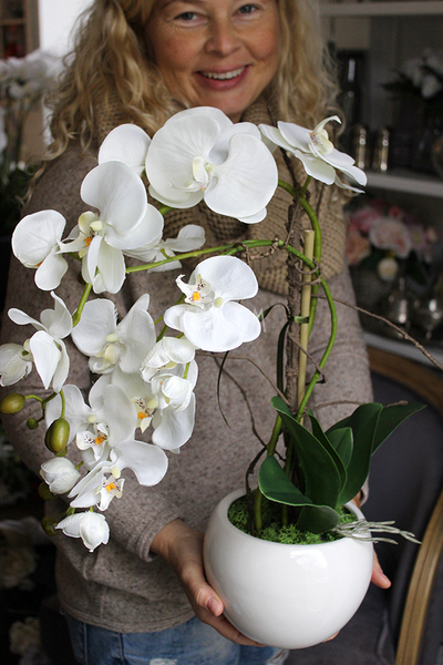 storczyk Senna w minimalistycznej donicy, wys.45cm 