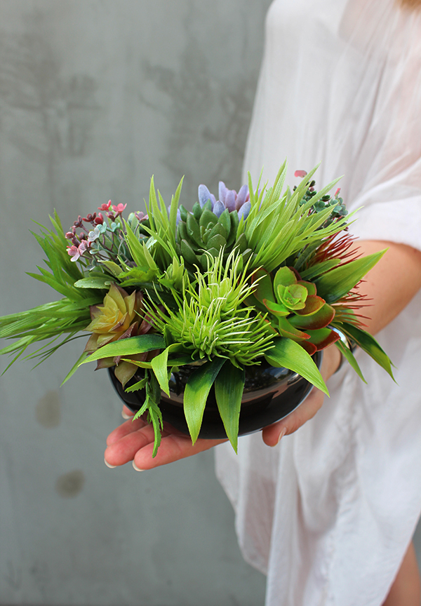 Maria, kompozycja sukulenty w okrągłej donicy, wys.16cm