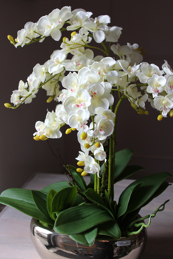 Luizjana, storczyk w delikatnie złotym lustrzanym naczyniu, wys.60cm