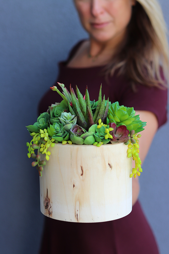 Wood, sukulenty, kompozycja ze sztucznych roślin, wys.26cm