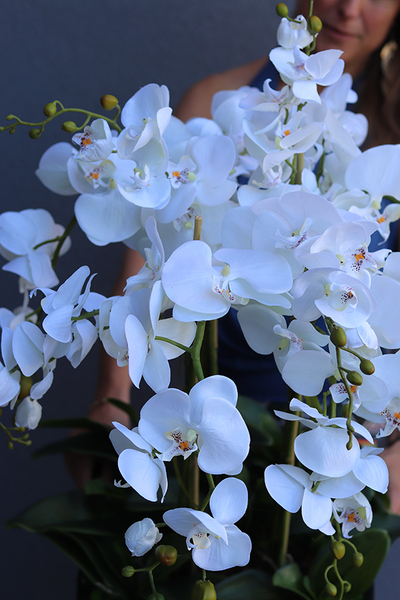 gęsty sztuczny storczyk Mediolan w czarnym wkładzie do donicy, wys.110cm
