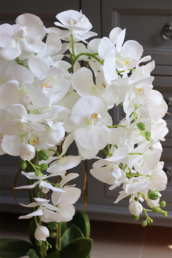 Figaro Silver, duży storczyk w lustrzanej donicy, wys.80cm 