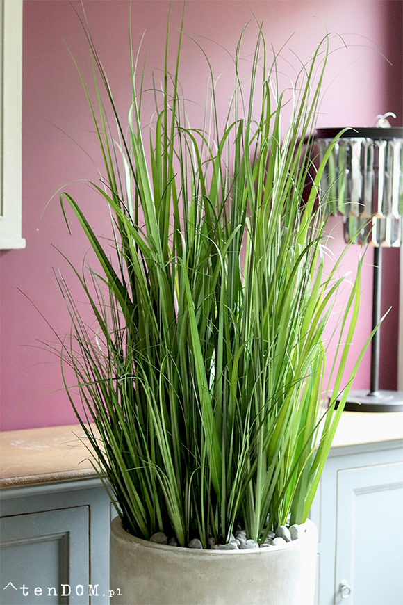 Concrete New, wysokiej jakości sztuczna trawa w betonowej donicy, wys. 175cm