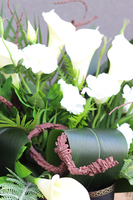 Karlitto Premium, dekoracja nagrobna kallą i eustomą, wym.56x86cm