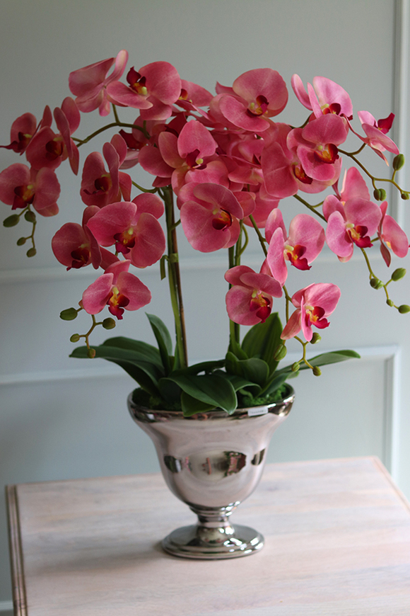 Pałacowy Róż, gumowy różowy storczyk w lustrzanej donicy, wys.68cm 