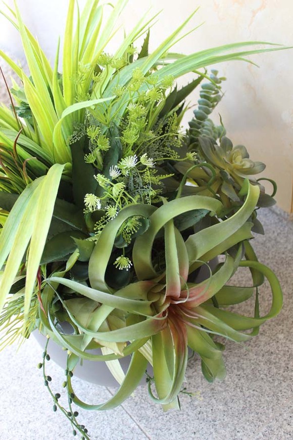 Fiberglass kompozycja z sukulentami Cacti Walter, wys.70cm