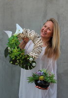 Maria, kompozycja sukulenty w okrągłej donicy, wys.16cm