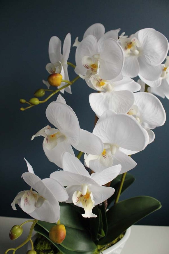 Deluxe Glamour, storczyk w biało - srebrnej ceramicznej donicy, wys.60cm