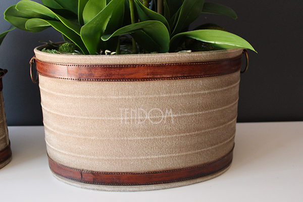 Lauren duży biały storczyk w brązowej donicy, wys.90cm