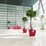 Quadro, elegancka donica z nawadnianiem, czerwona, wym.33x35cm