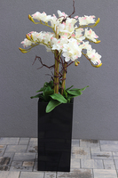 Grande Fiberglass Black Cymbydium, efektowny storczyk w czarnej donicy z fiberglass, wys.134cm