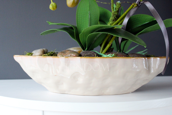 storczyk Laos 3 w ceramicznej "gniecionej" donicy, wys.53cm