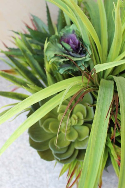 Fiberglass kompozycja z sukulentami Cacti Walter, wys.70cm