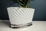 Deluxe Glamour, storczyk w biało - srebrnej ceramicznej donicy, wys.60cm