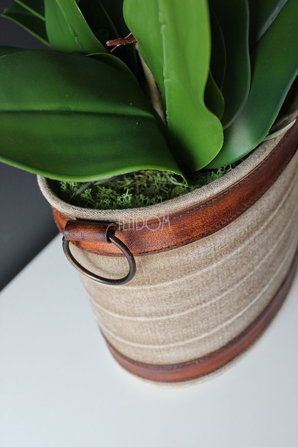 Lauren duży biały storczyk w brązowej donicy, wys.90cm