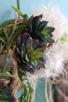 Eva, nowoczesny wianek na drzwi, śr.50cm