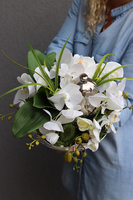 Dekoria Pear, storczyk kompozycja kwiatowa w srebrnym naczyniu, wym.22x23cm