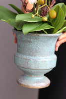 biały storczyk w niebieskiej donicy, Turkusso, wys.72cm 