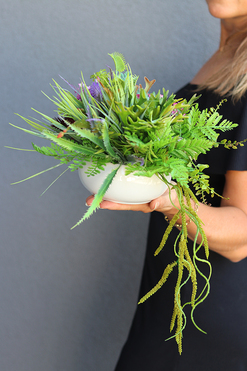 OD RĘKI Anna Maria White, kompozycja sukulenty w okrągłej donicy, wys.16cm