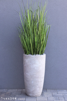 Concrete New, wysokiej jakości sztuczna trawa w betonowej donicy, wys. 175cm