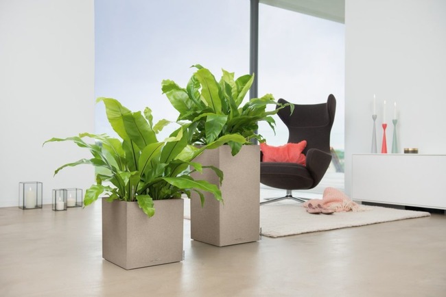 Canto Stone, elegancka donica z nawadnianiem, beż, wym.30x30cm