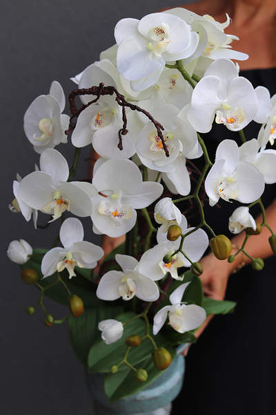 biały storczyk w niebieskiej donicy, Turkusso, wys.72cm 