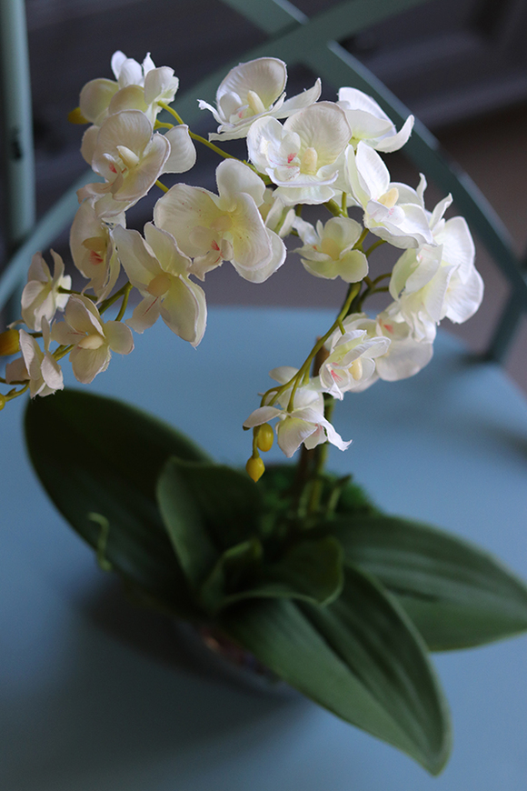 OD RĘKI Krena Mini, sztuczny storczyk w lustrzanej doniczce, wys.29cm 