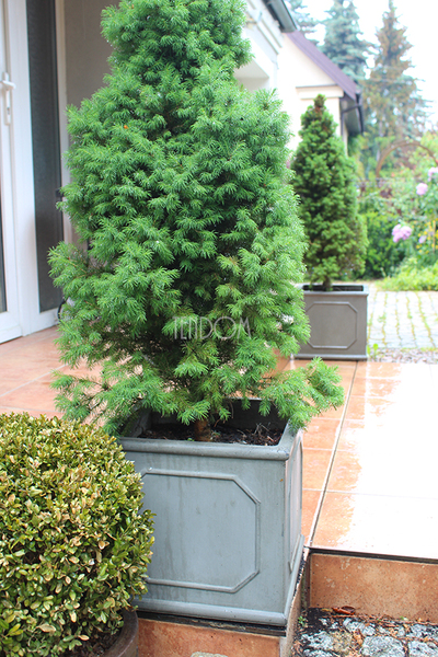 Grigio donica kwadratowa B wym.43x43x40.5cm