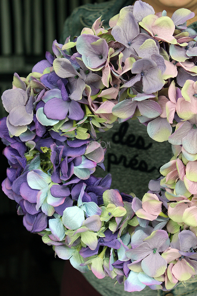 Fioletowa Hortensja 2, jesienny wianek na drzwi, śr.34cm