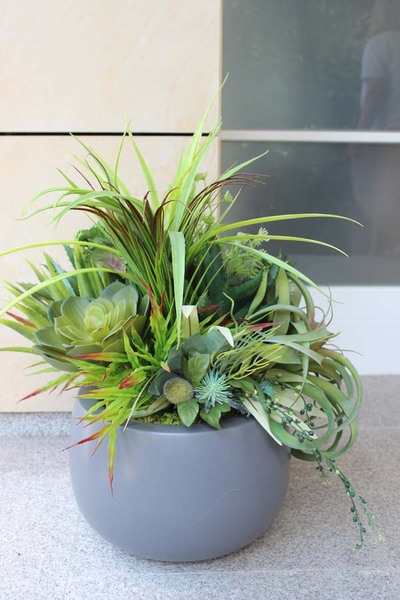 Fiberglass kompozycja z sukulentami Cacti Walter, wys.70cm