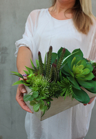 Moderna, kompozycja sukulentów w cementowej donicy, wys.25cm