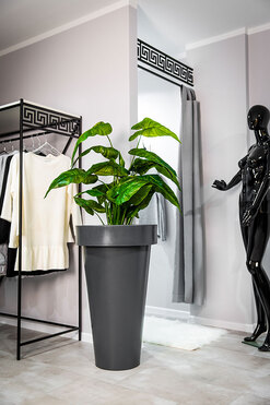 Pons donica antracyt z wewnętrzną półką 52x90cm