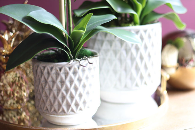 elegancki storczyk w ozdobnej donicy, Verona Moderna Small, wys.54cm