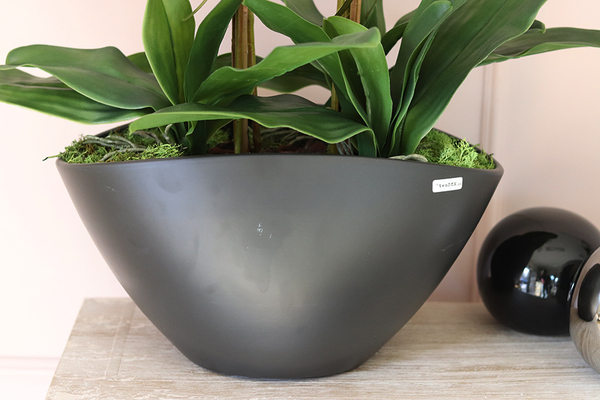 Laos Black Matt, wyjątkowy storczyk w matowej donicy, wys.76cm